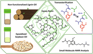 Graphical abstract: Vitrimers from non-functionalized lignin oil and epoxidized soybean oil