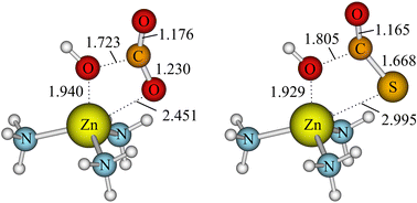 Graphical abstract: Carbon dioxide and related heterocumulenes at zinc and lithium cations: bioinspired reactions and principles