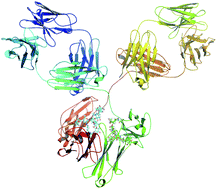 Graphical abstract: Immunoaffinity assisted LC-ICP-MS—a versatile tool in biomedical research