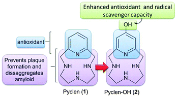 Graphical abstract: A potent antioxidant small molecule aimed at targeting metal-based oxidative stress in neurodegenerative disorders