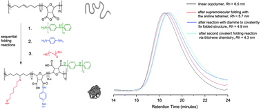 Graphical abstract: Controlled folding of a novel electroactive polyolefin via multiple sequential orthogonal intra-chain interactions