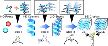 Graphical abstract: Halogen bond effect on bundling of hydrogen bonded 2-fold helical columns