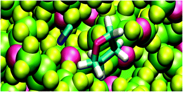 Graphical abstract: Reaction dynamics of CN radicals with tetrahydrofuran in liquid solutions