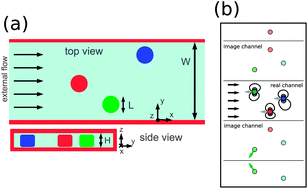 Graphical abstract: Collective dynamics of small clusters of particles flowing in a quasi-two-dimensional microchannel