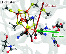 Graphical abstract: Electric-field effects on the [FeFe]-hydrogenase active site