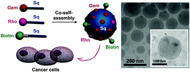 Graphical abstract: Multifunctional squalene-based prodrug nanoparticles for targeted cancer therapy