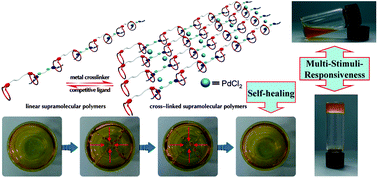 Graphical abstract: A self-healing supramolecular polymer gel with stimuli-responsiveness constructed by crown ether based molecular recognition