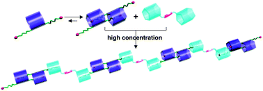 Graphical abstract: Pillar[5]arene–neutral guest recognition based supramolecular alternating copolymer containing [c2]daisy chain and bis-pillar[5]arene units