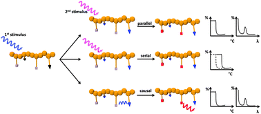 Graphical abstract: Multi-stimuli responsive polymers – the all-in-one talents