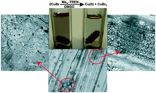 Graphical abstract: Where is Cu(0) generated by disproportionation during SET-LRP?