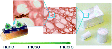 Graphical abstract: Hierarchically structured bioactive foams based on polyvinyl alcohol–sepiolite nanocomposites