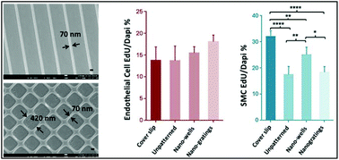 Graphical abstract: Sub-100 nm patterning of TiO2 film for the regulation of endothelial and smooth muscle cell functions