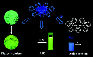 Graphical abstract: A dual-boron-cored luminogen capable of sensing and imaging