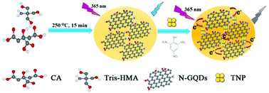 Graphical abstract: A facile synthesis of highly luminescent nitrogen-doped graphene quantum dots for the detection of 2,4,6-trinitrophenol in aqueous solution