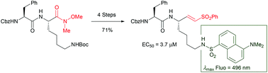 Graphical abstract: Preparation, anti-trypanosomal activity and localisation of a series of dipeptide-based vinyl sulfones