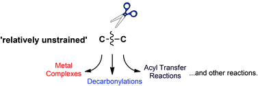 Graphical abstract: Direct activation of relatively unstrained carbon–carbon bonds in homogeneous systems