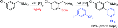 Graphical abstract: An ortho-directed C–H borylation/Suzuki coupling sequence in the formation of biphenylbenzylic amines