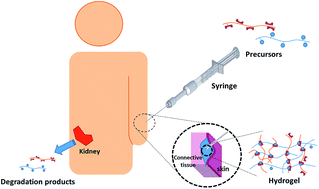 Graphical abstract: Injectable hydrogels based on poly(ethylene glycol) and derivatives as functional biomaterials