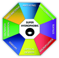 Graphical abstract: Recent advances in the potential applications of bioinspired superhydrophobic materials