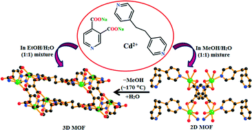 Graphical abstract: Dynamic metal–organic frameworks: syntheses, characterizations, sorption studies and their hydrolytic inter-conversion