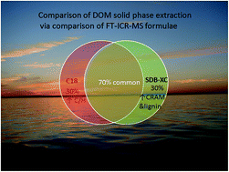 Graphical abstract: Dissolved organic matter in Lake Superior: insights into the effects of extraction methods on chemical composition