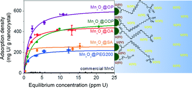 Graphical abstract: Engineered manganese oxide nanocrystals for enhanced uranyl sorption and separation