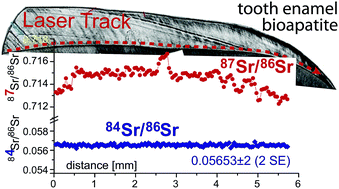 Graphical abstract: Accuracy of laser-ablation (LA)-MC-ICPMS Sr isotope analysis of (bio)apatite – a problem reassessed