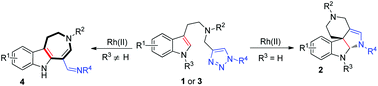 Graphical abstract: Divergent synthesis of indole-fused polycycles via Rh(ii)-catalyzed intramolecular [3 + 2] cycloaddition and C–H functionalization of indolyltriazoles