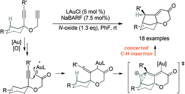 Graphical abstract: C–H insertions in oxidative gold catalysis: synthesis of polycyclic 2H-pyran-3(6H)-ones via a relay strategy