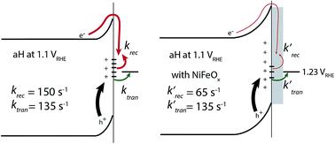 Graphical abstract: Understanding the origin of photoelectrode performance enhancement by probing surface kinetics