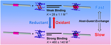 Graphical abstract: Redox-responsive host–guest system using redox-active pillar[5]arene containing one benzoquinone unit