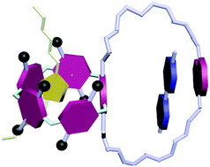 Graphical abstract: Multicavity macrocyclic hosts