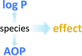 Graphical abstract: (Q)SARs to predict environmental toxicities: current status and future needs