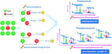 Graphical abstract: Layered host–guest long-afterglow ultrathin nanosheets: high-efficiency phosphorescence energy transfer at 2D confined interface