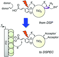 Graphical abstract: Catechol–TiO2 hybrids for photocatalytic H2 production and photocathode assembly