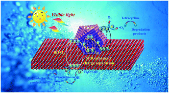 Graphical abstract: Plasmonic resonance excited dual Z-scheme BiVO4/Ag/Cu2O nanocomposite: synthesis and mechanism for enhanced photocatalytic performance in recalcitrant antibiotic degradation