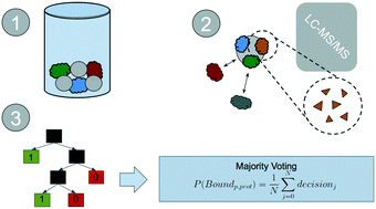 Graphical abstract: Machine learning provides predictive analysis into silver nanoparticle protein corona formation from physicochemical properties