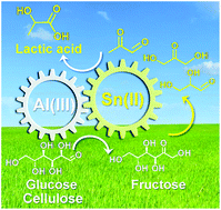 Graphical abstract: Transformation of cellulose and related carbohydrates into lactic acid with bifunctional Al(iii)–Sn(ii) catalysts