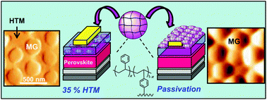 Graphical abstract: Reducing hole transporter use and increasing perovskite solar cell stability with dual-role polystyrene microgel particles