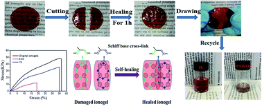 Graphical abstract: One-pot synthesis of self-healable and recyclable ionogels based on polyamidoamine (PAMAM) dendrimers via Schiff base reaction