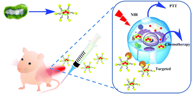 Graphical abstract: Multifunctional Cu39S28 hollow nanopeanuts for in vivo targeted photothermal chemotherapy