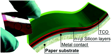 Graphical abstract: Multifunctional cellulose-paper for light harvesting and smart sensing applications