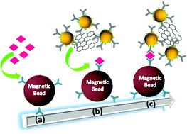 Graphical abstract: A graphene oxide/gold nanoparticle-based amplification method for SERS immunoassay of cardiac troponin I