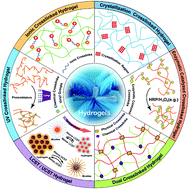 Graphical abstract: Advances in crosslinking strategies of biomedical hydrogels