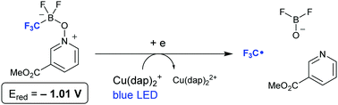 Graphical abstract: Photoredox generation of the trifluoromethyl radical from borate complexes via single electron reduction