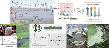 Graphical abstract: Editor’s choice: underappreciated science