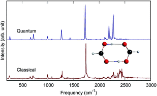 Graphical abstract: Quantum and classical IR spectra of (HCOOH)2, (DCOOH)2 and (DCOOD)2 using ab initio potential energy and dipole moment surfaces