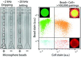 Graphical abstract: Microfluidic bead encapsulation above 20 kHz with triggered drop formation