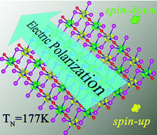 Graphical abstract: Intrinsic multiferroicity in two-dimensional VOCl2 monolayers