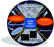 Graphical abstract: Redefining the photo-stability of common fluorophores with triplet state quenchers: mechanistic insights and recent updates